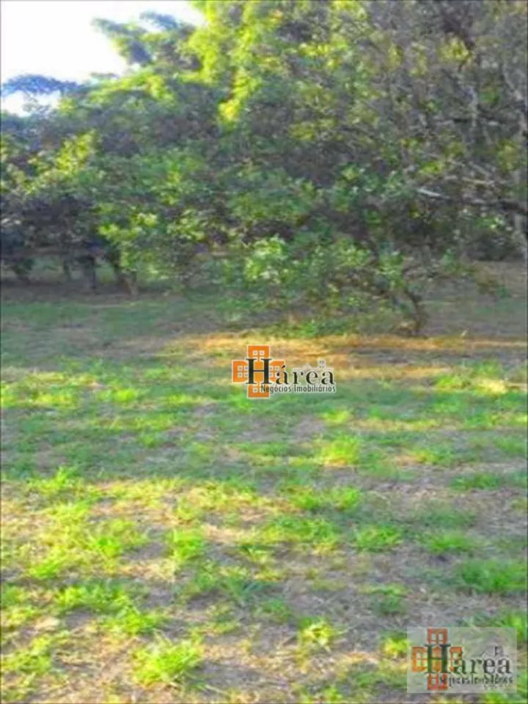 Terreno, 4446 m² - Foto 4