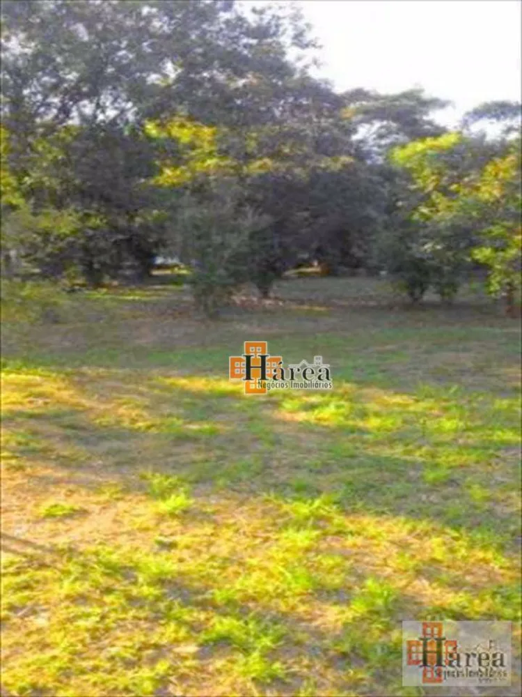 Terreno, 4446 m² - Foto 3