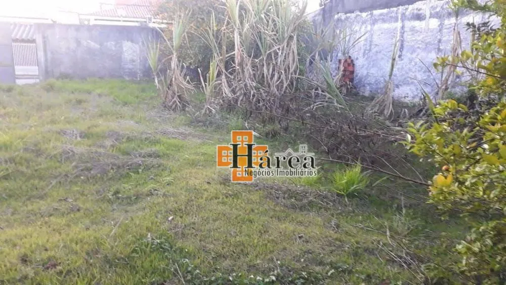 Terreno, 300 m² - Foto 4