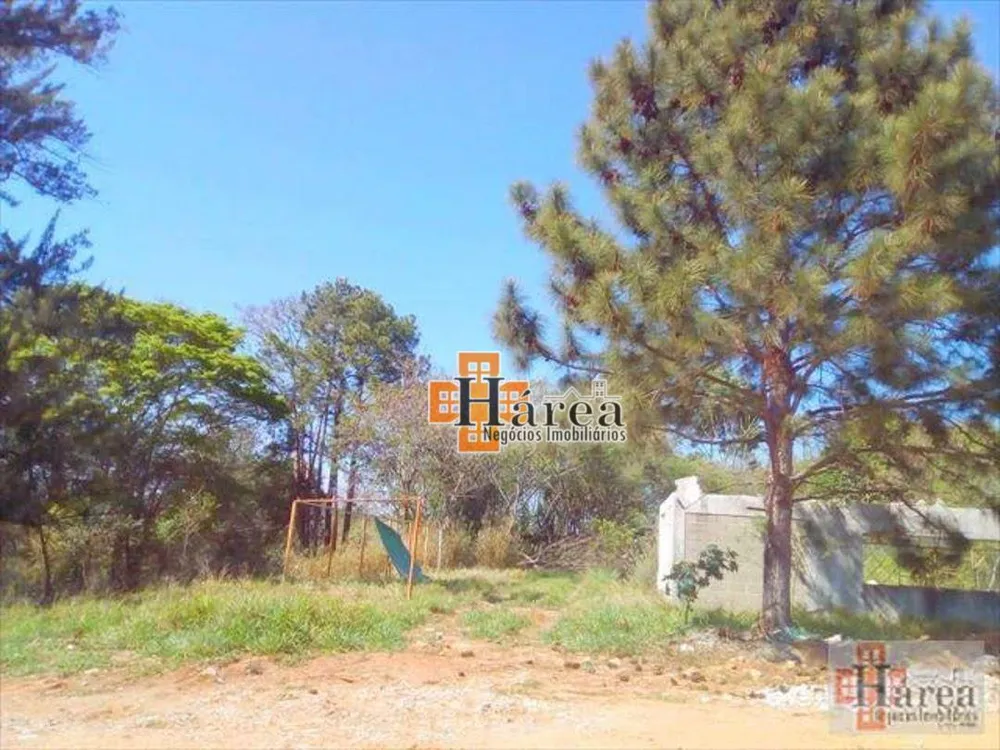 Terreno, 5 hectares - Foto 3