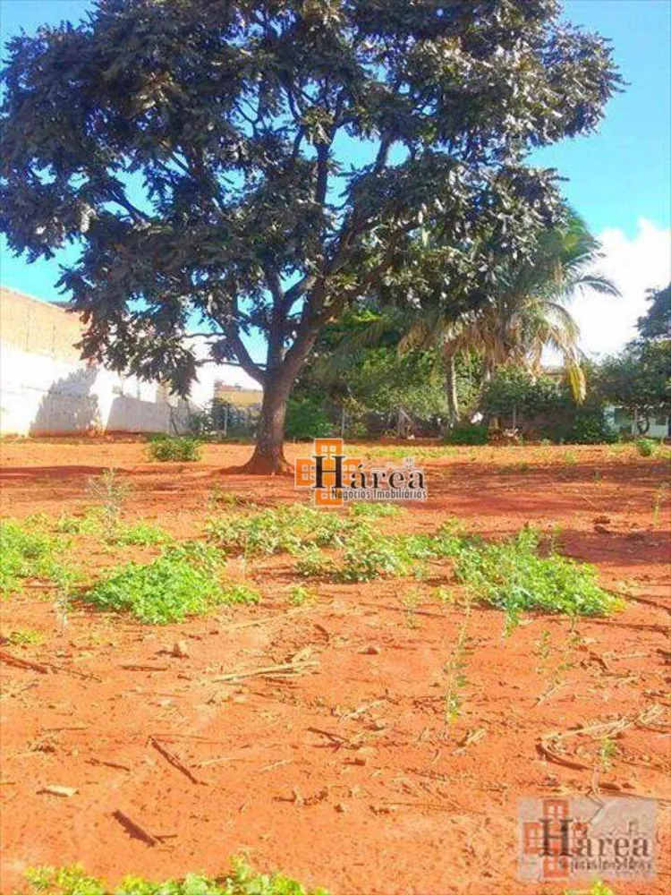 Terreno, 2600 m² - Foto 12