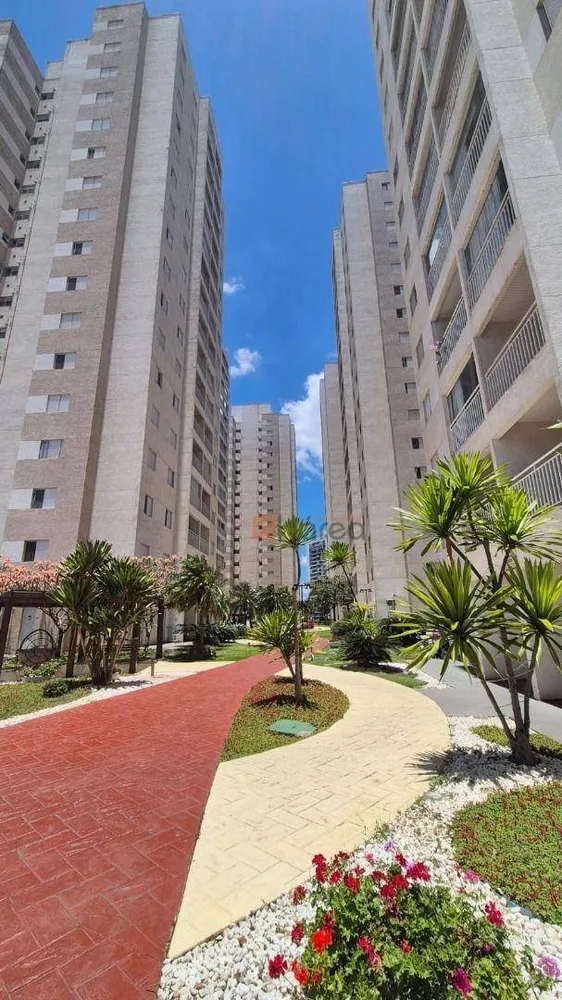 Apartamento, 3 quartos, 79 m² - Foto 6