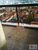 Apartamento, 3 quartos, 250 m² - Foto 2