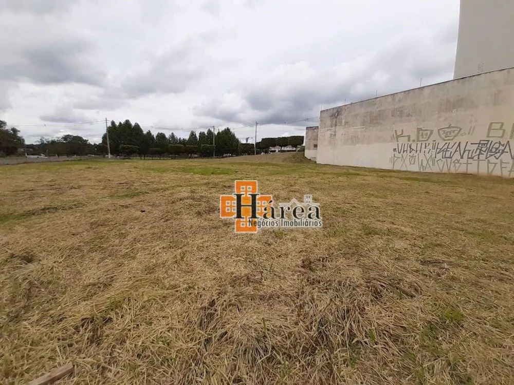 Terreno, 2578 m² - Foto 4