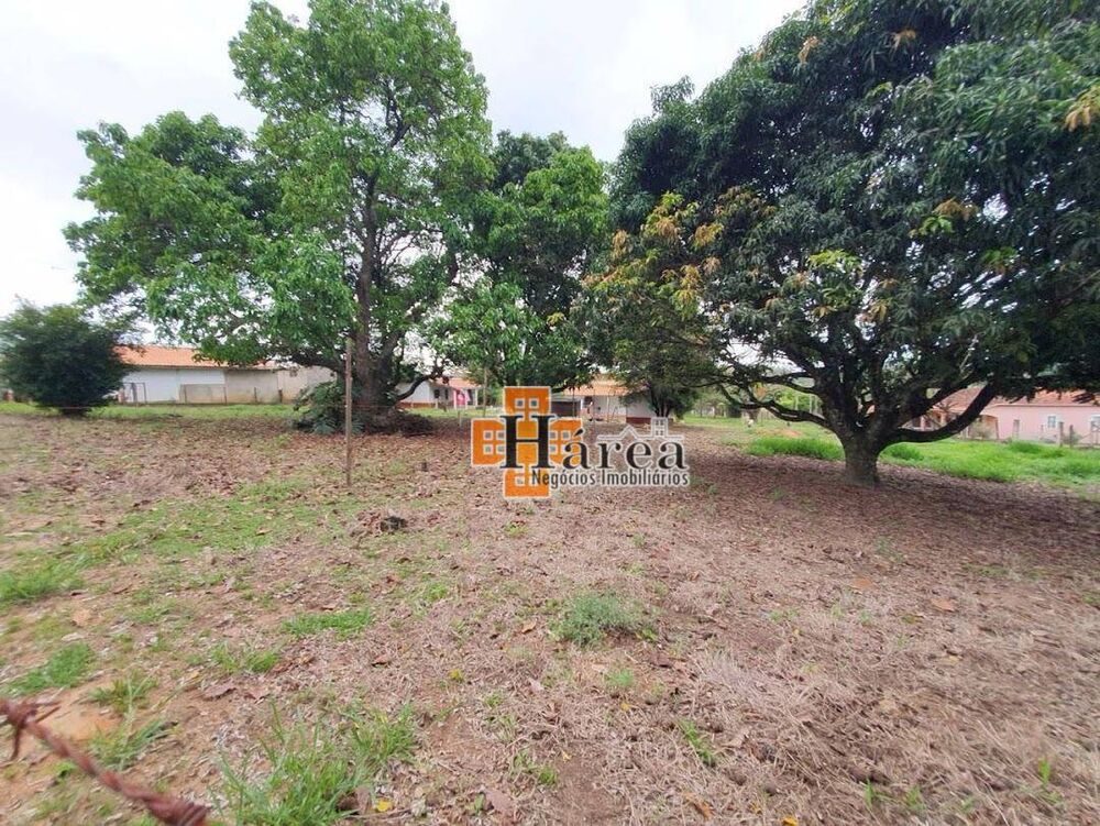 Chácara, 4 quartos, 3508 m² - Foto 5