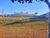 Terreno, 772 m² - Foto 5
