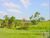 Fazenda-Sítio-Chácara, 7 hectares - Foto 7