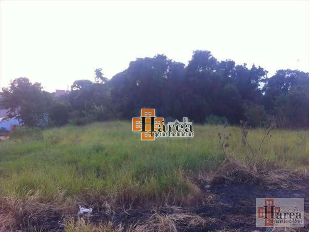 Terreno, 3 hectares - Foto 6