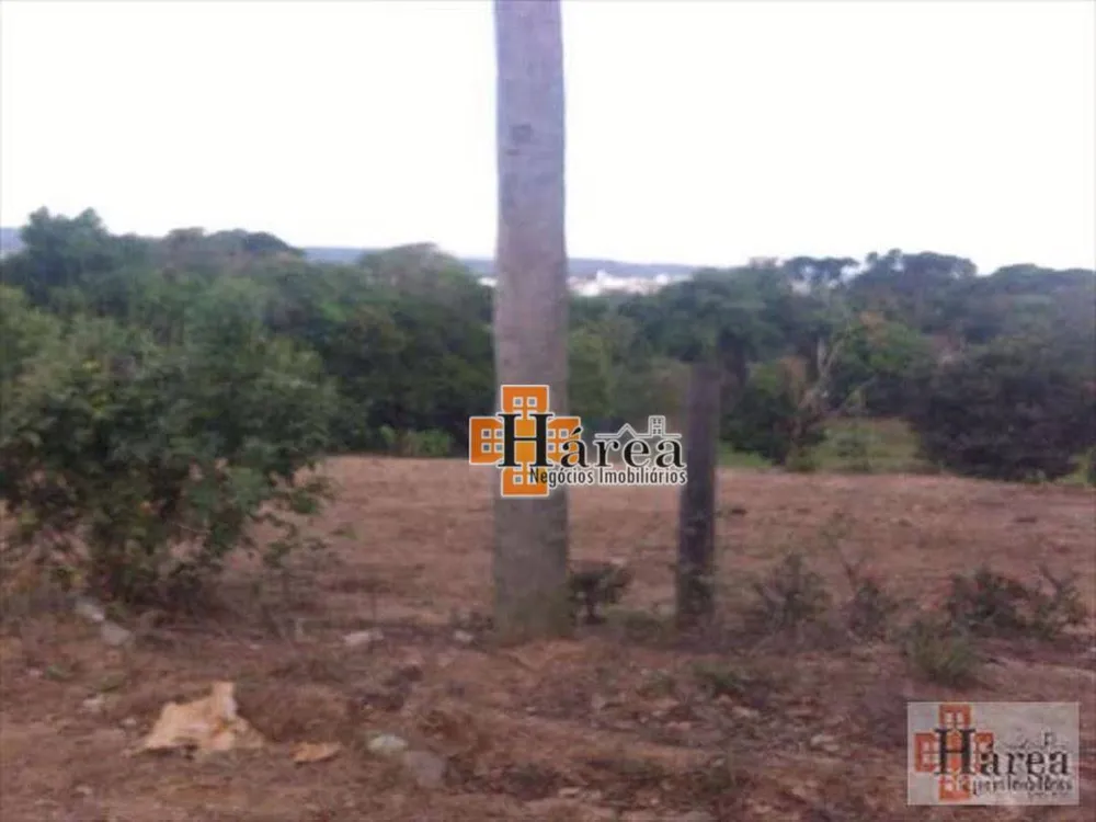 Terreno, 3 hectares - Foto 4