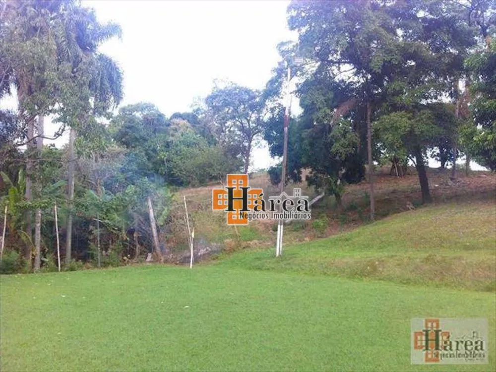 Terreno, 3 hectares - Foto 7