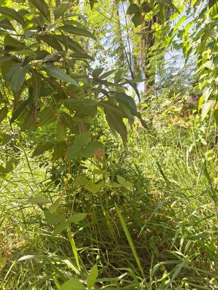 Terreno, 360 m² - Foto 4