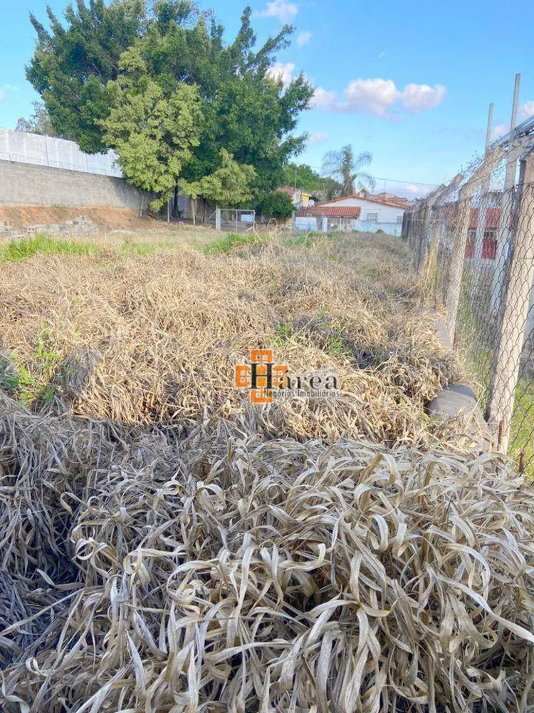 Terreno, 1000 m² - Foto 12