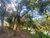 Terreno, 1000 m² - Foto 5