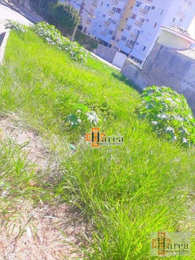 Terreno, 298 m² - Foto 5
