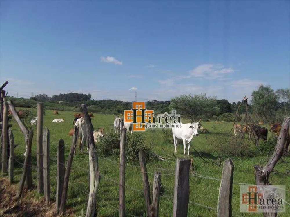 Terreno, 9957 m² - Foto 3