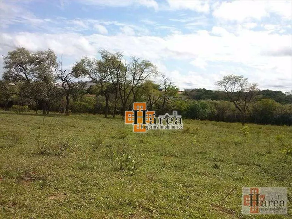 Terreno, 16 hectares - Foto 4