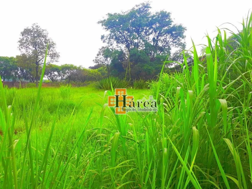 Terreno, 300 m² - Foto 5