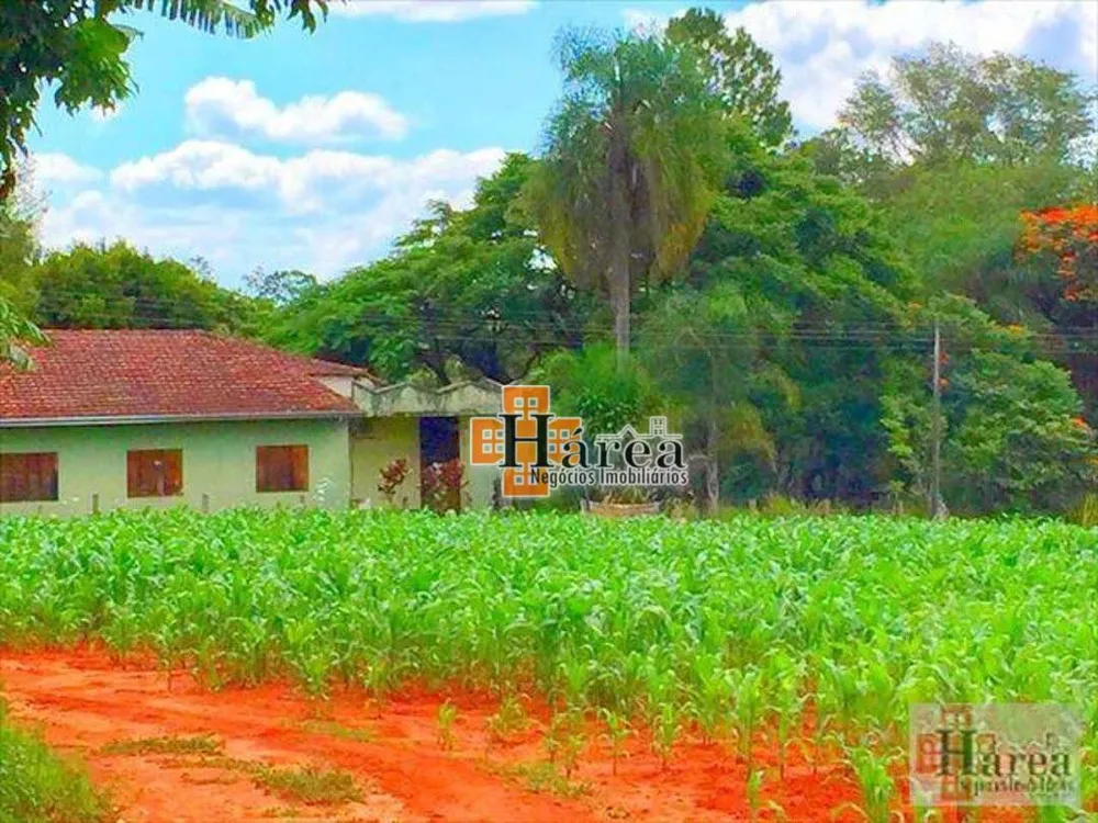 Sítio, 12 hectares - Foto 3