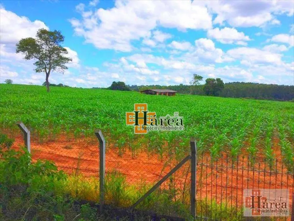Sítio, 12 hectares - Foto 10