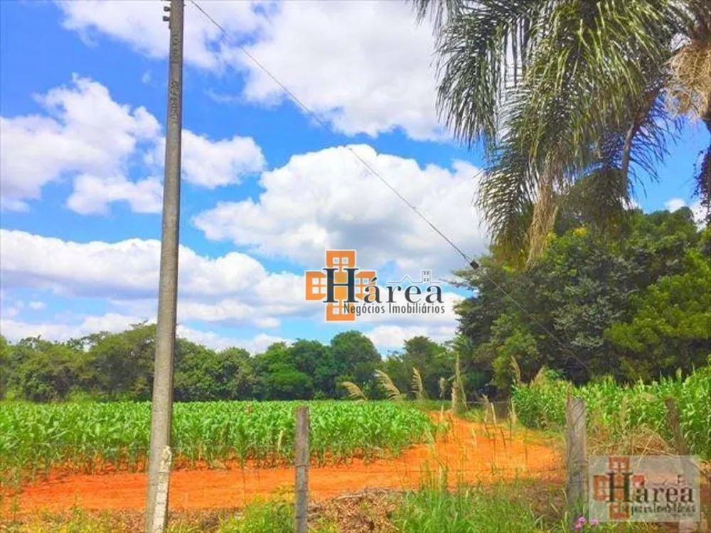 Sítio, 12 hectares - Foto 16