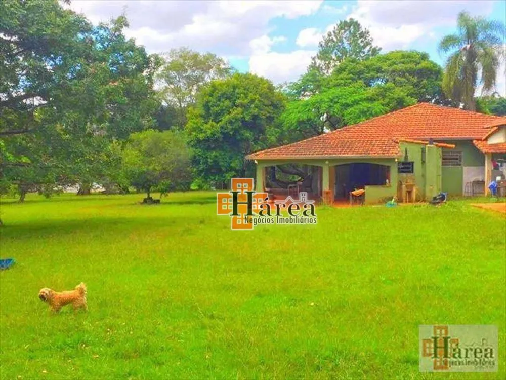 Sítio, 12 hectares - Foto 8