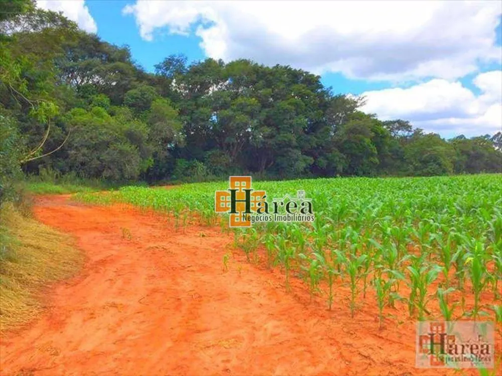 Sítio, 12 hectares - Foto 13