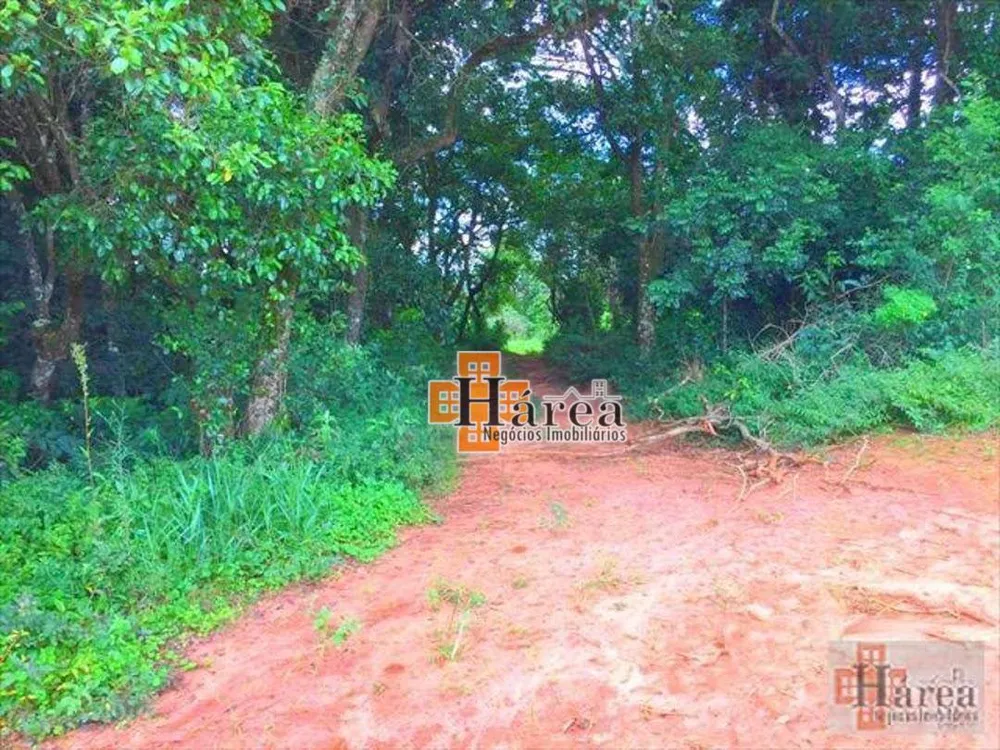 Sítio, 12 hectares - Foto 12