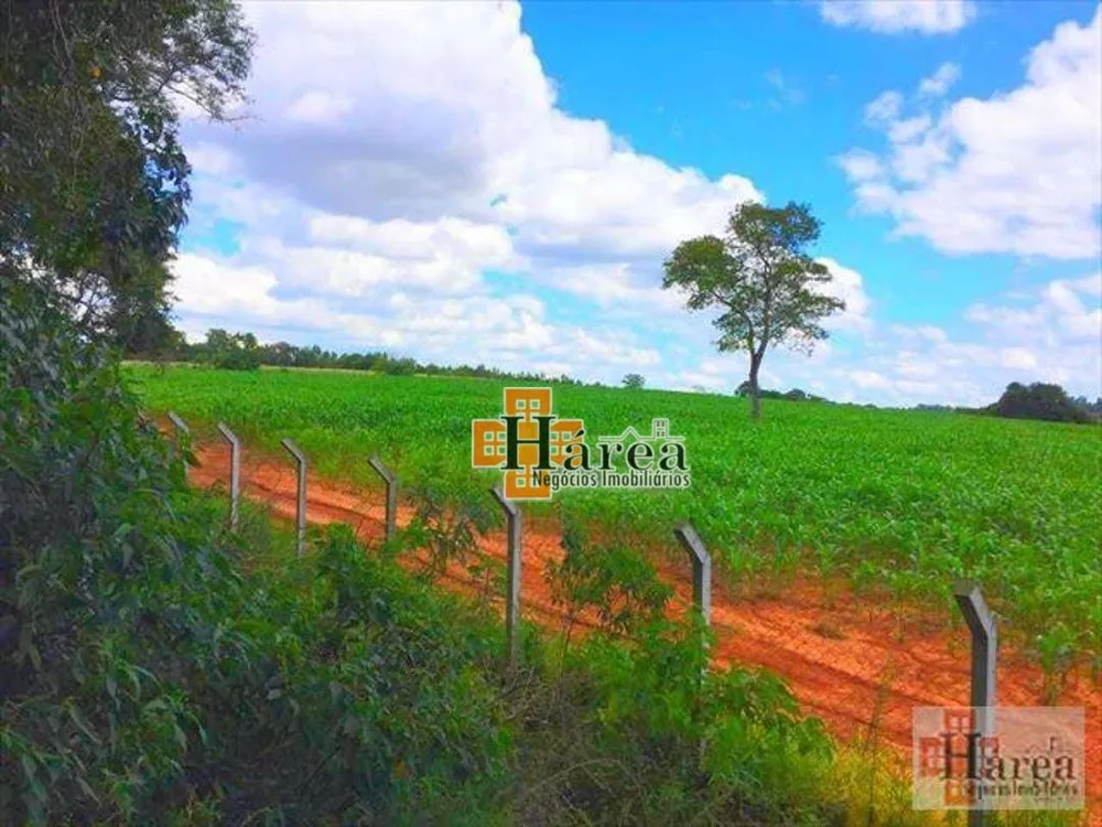 Sítio, 12 hectares - Foto 14