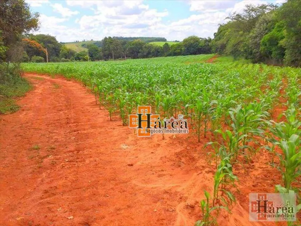 Sítio, 12 hectares - Foto 11