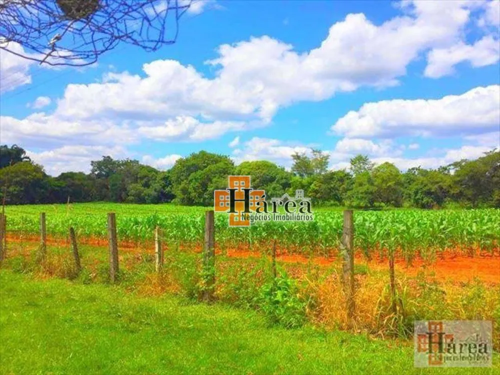 Sítio, 12 hectares - Foto 15