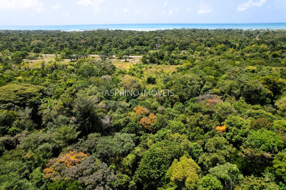 Chácara, 2 quartos, 40 hectares - Foto 12