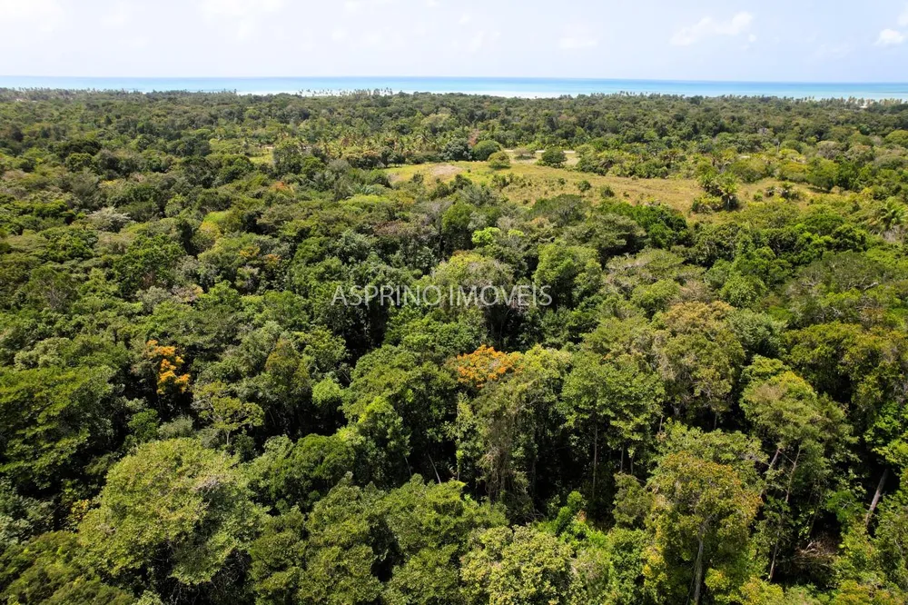 Chácara, 2 quartos, 40 hectares - Foto 10
