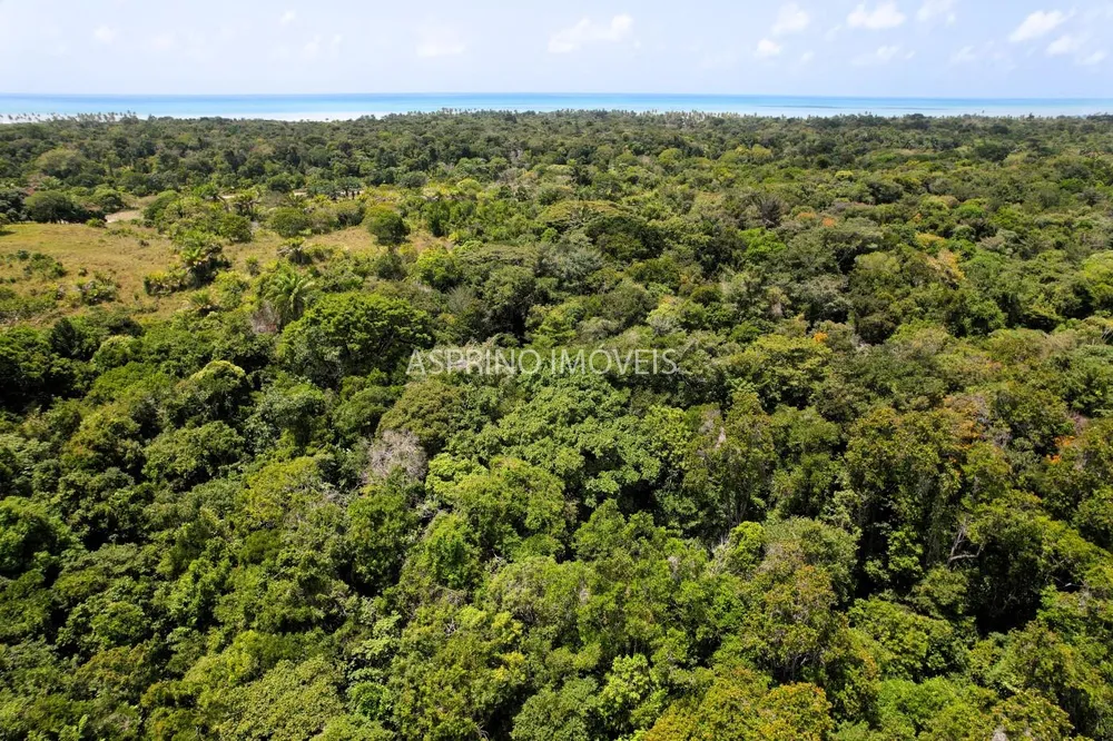 Chácara, 2 quartos, 40 hectares - Foto 11