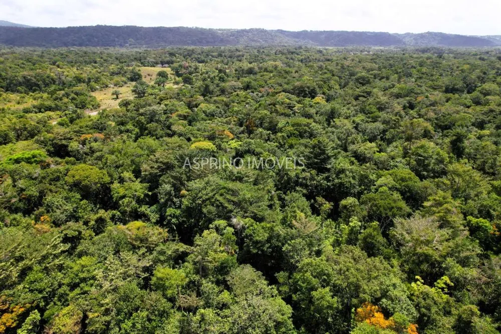 Chácara, 2 quartos, 40 hectares - Foto 7