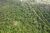 Sítio, 3 hectares - Foto 3