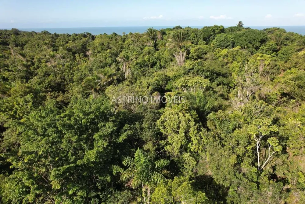 Terreno, 1000 m² - Foto 4