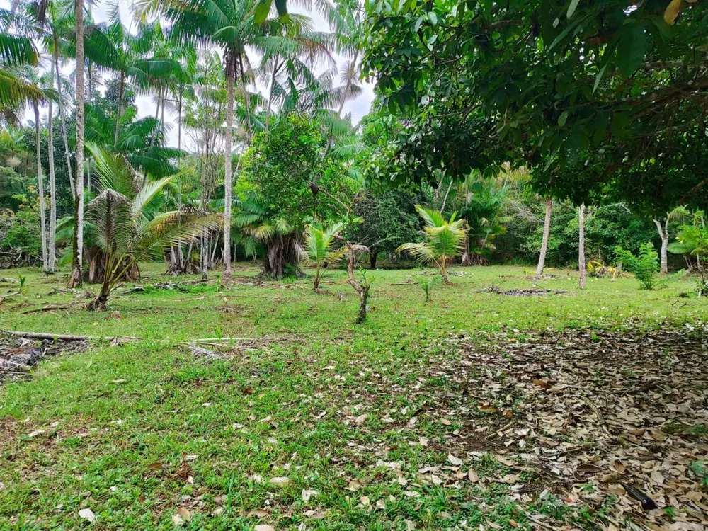 Chácara, 1 quarto, 10 hectares - Foto 1