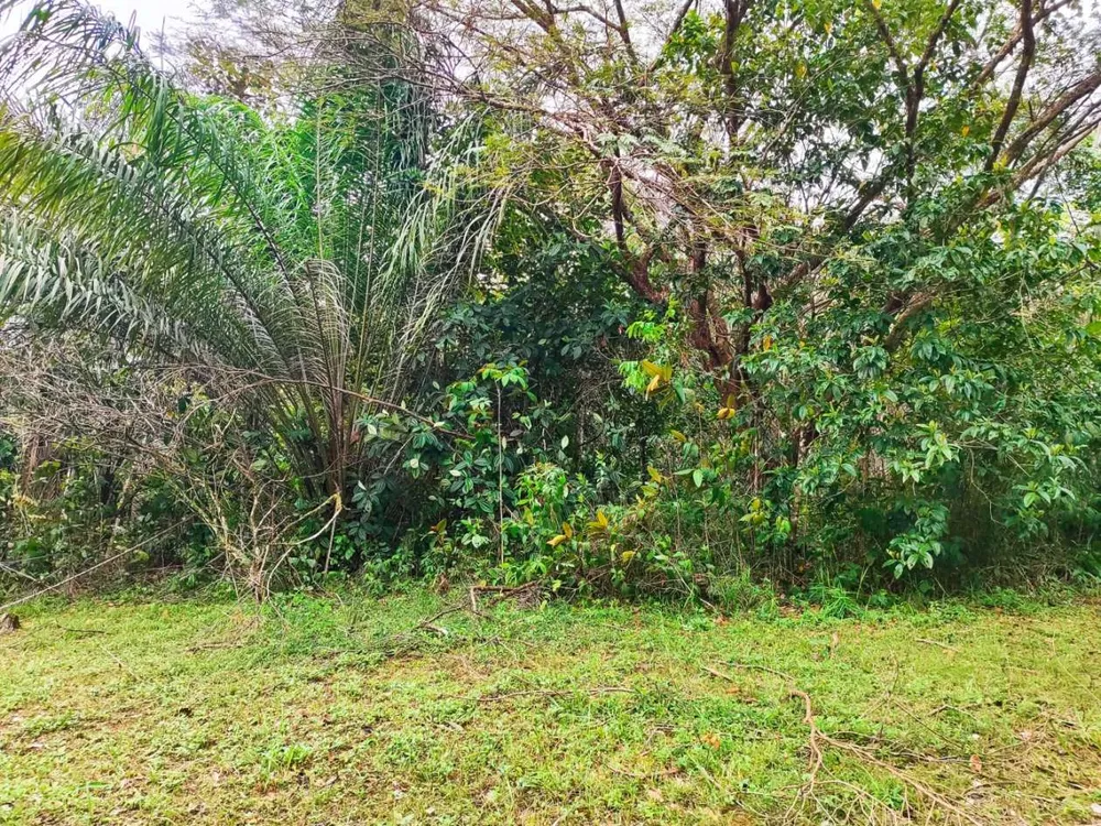 Chácara, 1 quarto, 10 hectares - Foto 2