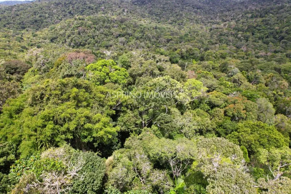 Terreno, 10 hectares - Foto 8