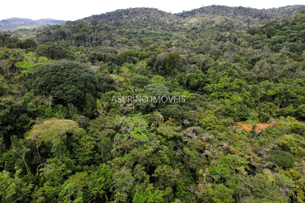 Terreno, 10 hectares - Foto 6