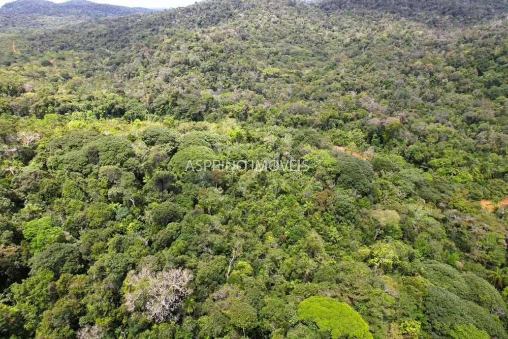 Terreno, 10 hectares - Foto 7