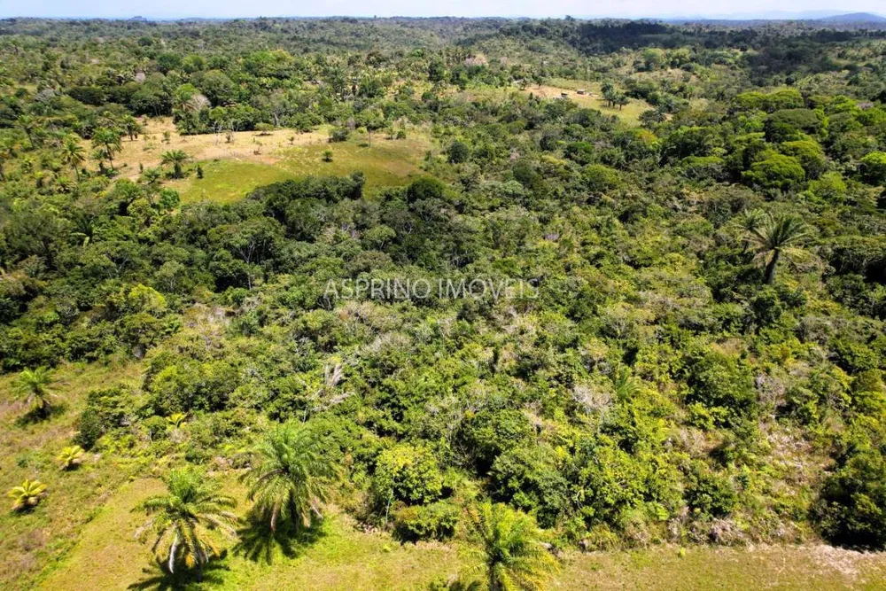 Chácara, 16 hectares - Foto 7