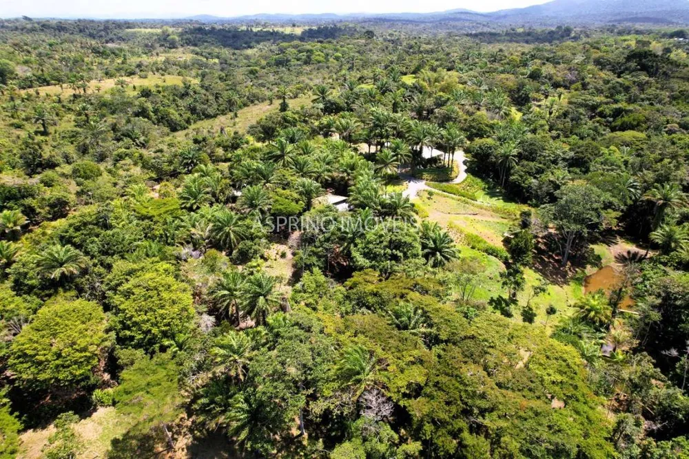 Chácara, 16 hectares - Foto 6