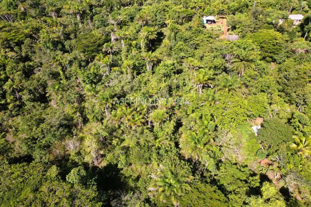 Terreno, 5000 m² - Foto 7