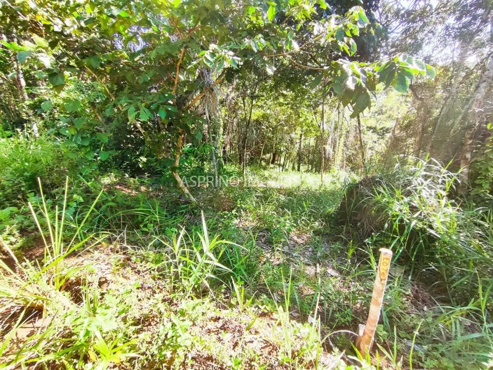 Terreno, 5000 m² - Foto 9