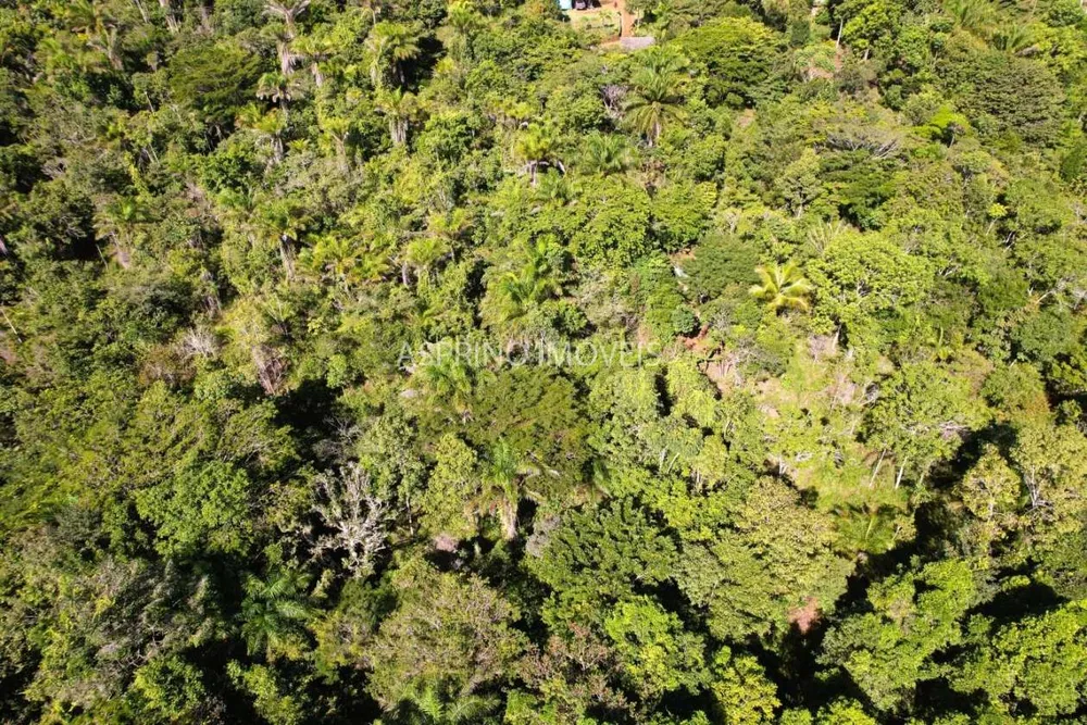 Terreno, 5000 m² - Foto 6