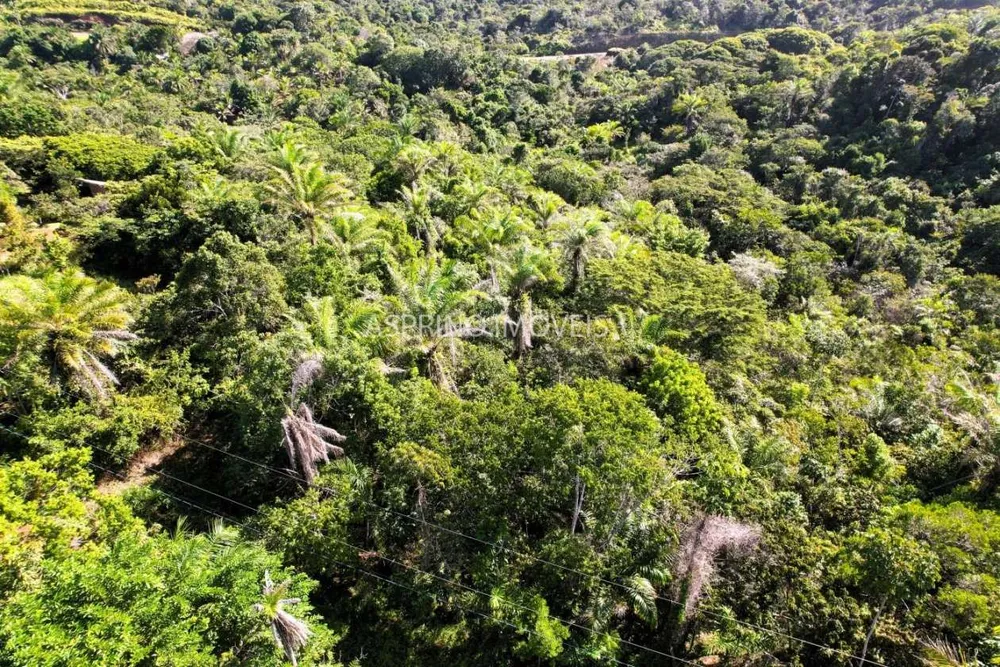 Terreno, 5000 m² - Foto 3