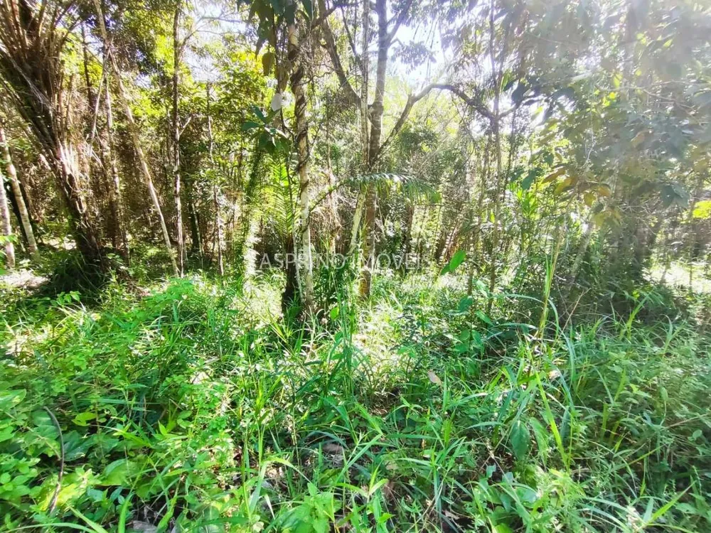 Terreno, 5000 m² - Foto 8