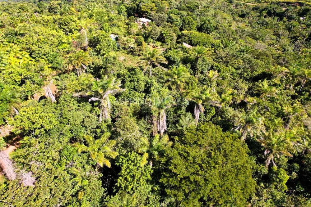 Terreno, 5000 m² - Foto 4