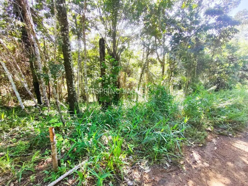 Terreno, 5000 m² - Foto 1